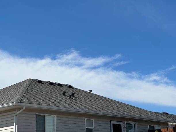 Professional Roofing service in Princeton, TX